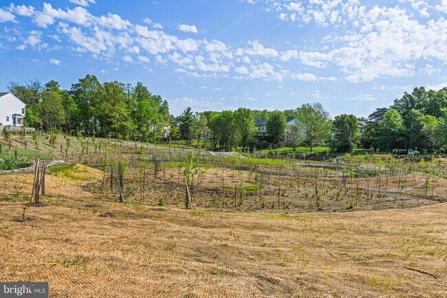 Building Photo - 14300 Rosy Ln