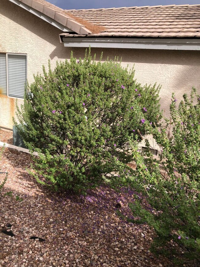 Building Photo - Honey, I’m Home! This Lovely 3 Bedroom, Two-Story Home Is Located In Summerlin.