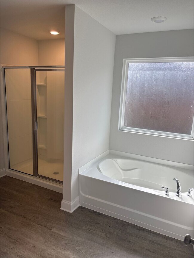 Building Photo - Newly built 4 Br 2 Ba Home