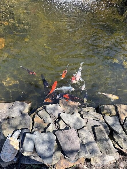 Pond - 114 Greenway Blvd