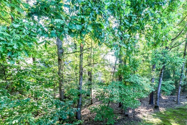 Building Photo - 3 Cortez Ln