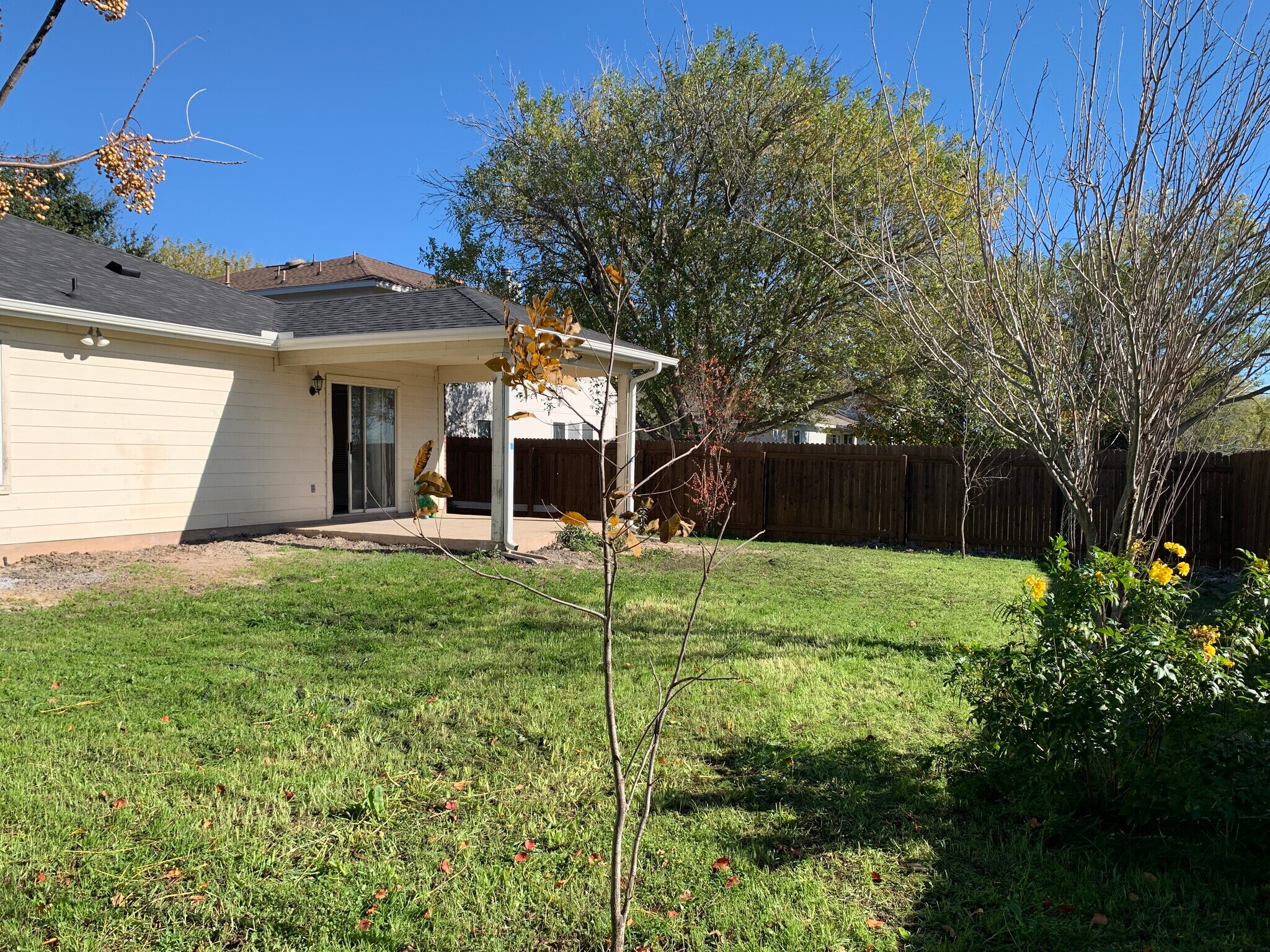 Large fenced backyard - 1050 Brutus Dr