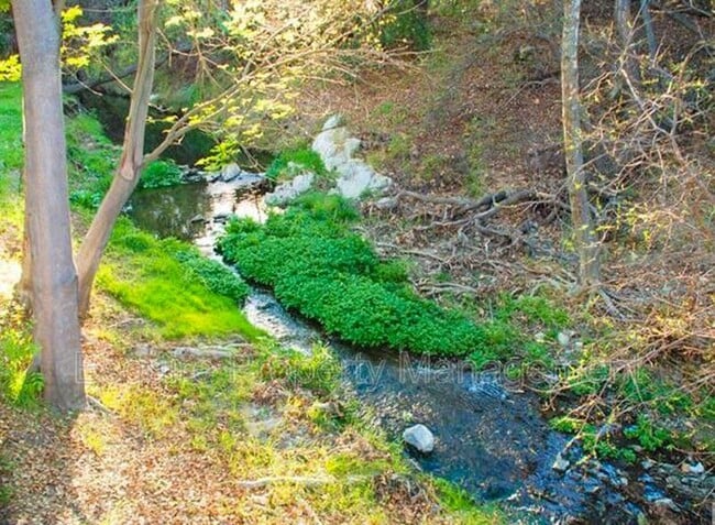 Building Photo - 625 Clearwater Creek Dr