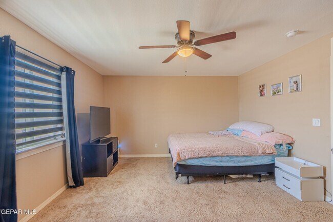 Building Photo - 3240 Peruvian Paso