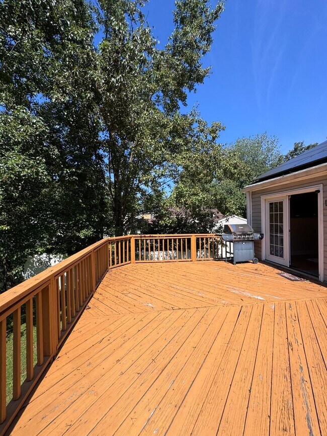 Building Photo - 1269 Windmill Ln