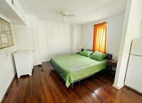 Building Photo - 199 Spring St