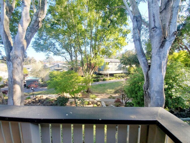 Building Photo - Top floor studio with large patio & greenb...