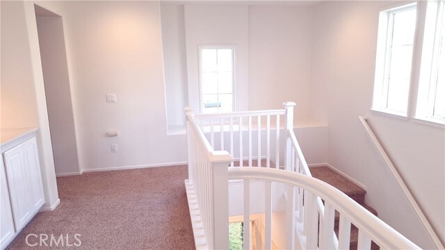 Building Photo - 24799 Benetta Ct