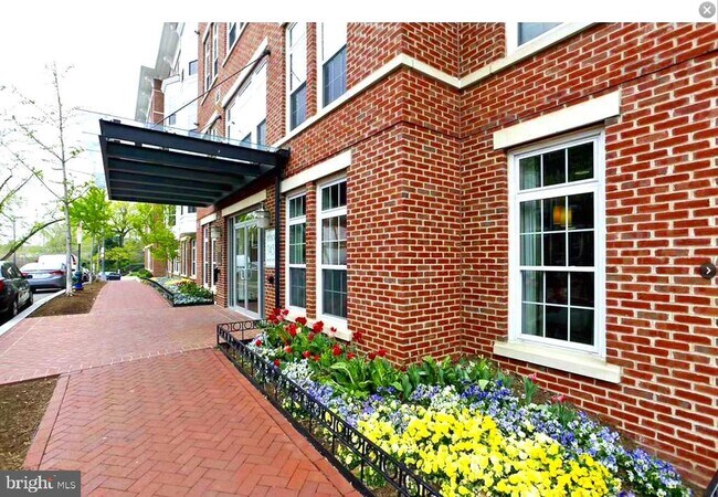Primary Photo - 1451 Belmont St NW