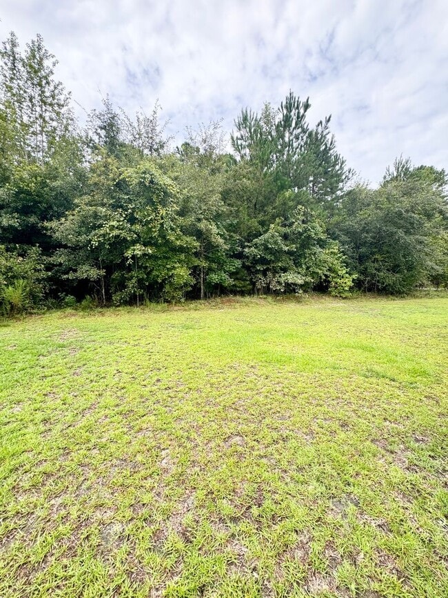 Building Photo - 3 Bedroom, 2 Bath in Conway! No HOA, Plent...