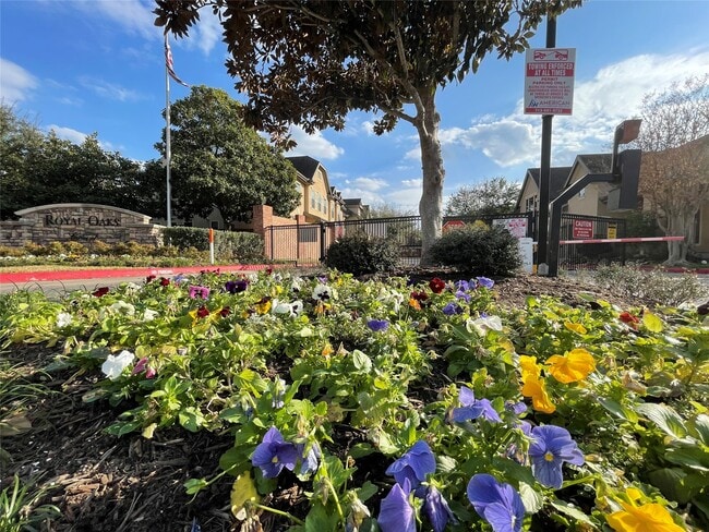 Building Photo - 11643 Royal Oaks View