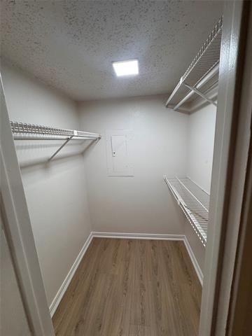 Building Photo - 2305 Basil Dr