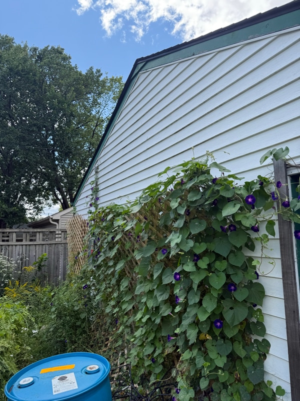 Building Photo - 2334 Brewster St