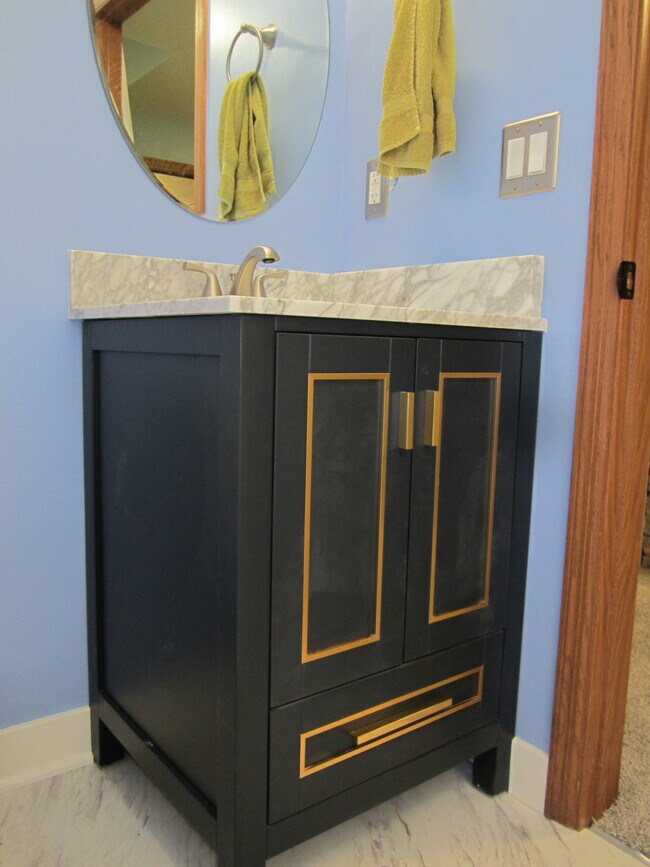 Premium vanity - 3622 Humboldt Ave N