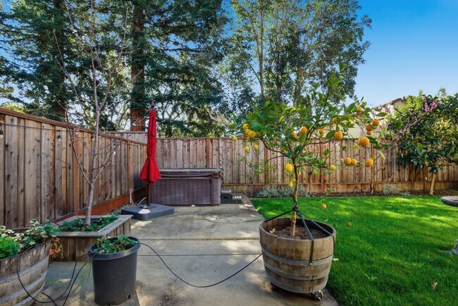 Building Photo - 4 Bed 3 Bath Single Family Home in Napa