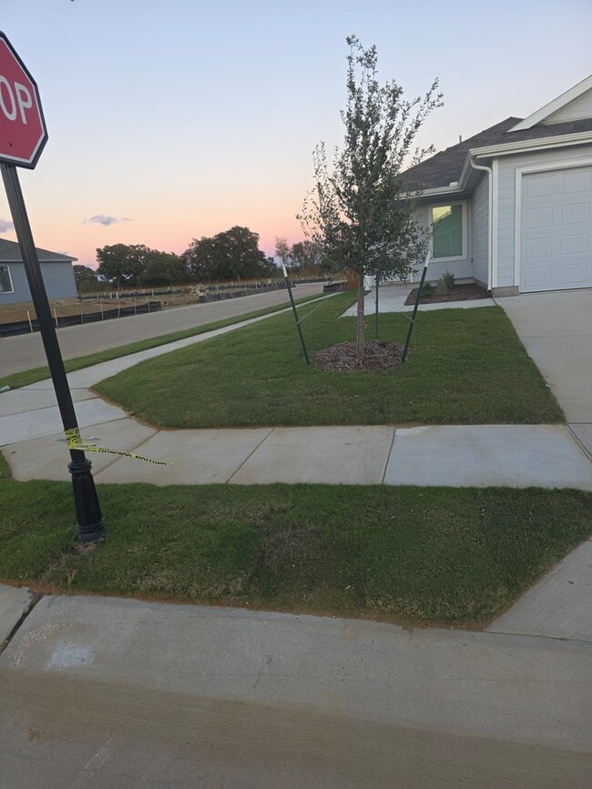 Building Photo - 3040 Burmese St