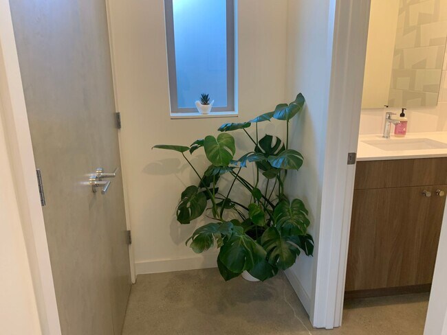 Building Photo - Capital Hill Row House ! 3 bed, 3 bath 194...