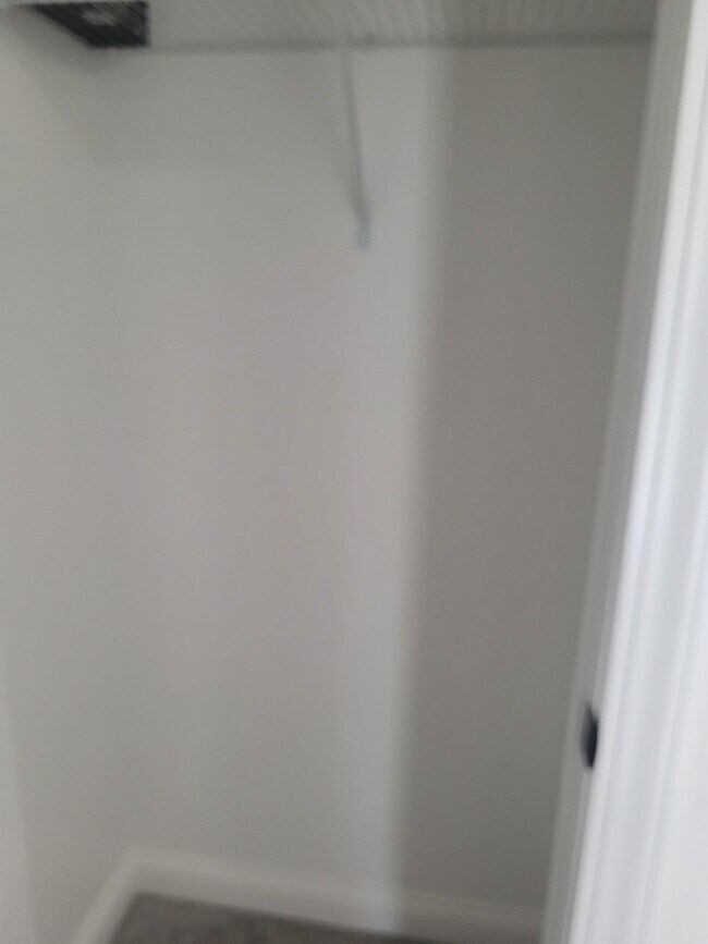 Building Photo - 2404 Grey Fox Trail