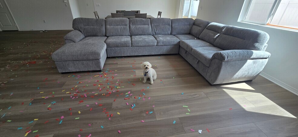Living room - 345 Charlton St