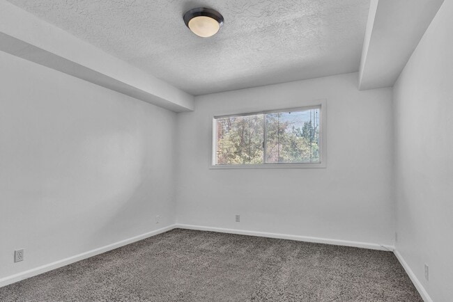 Building Photo - Wonderful newely updated downtown condo