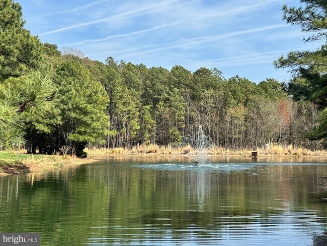 Building Photo - 8013 Bridgepointe Dr