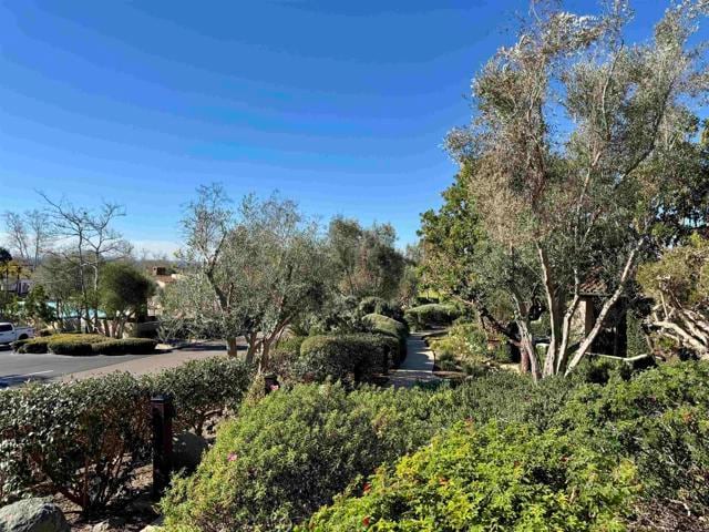 Building Photo - 8291 Santaluz Village Green N