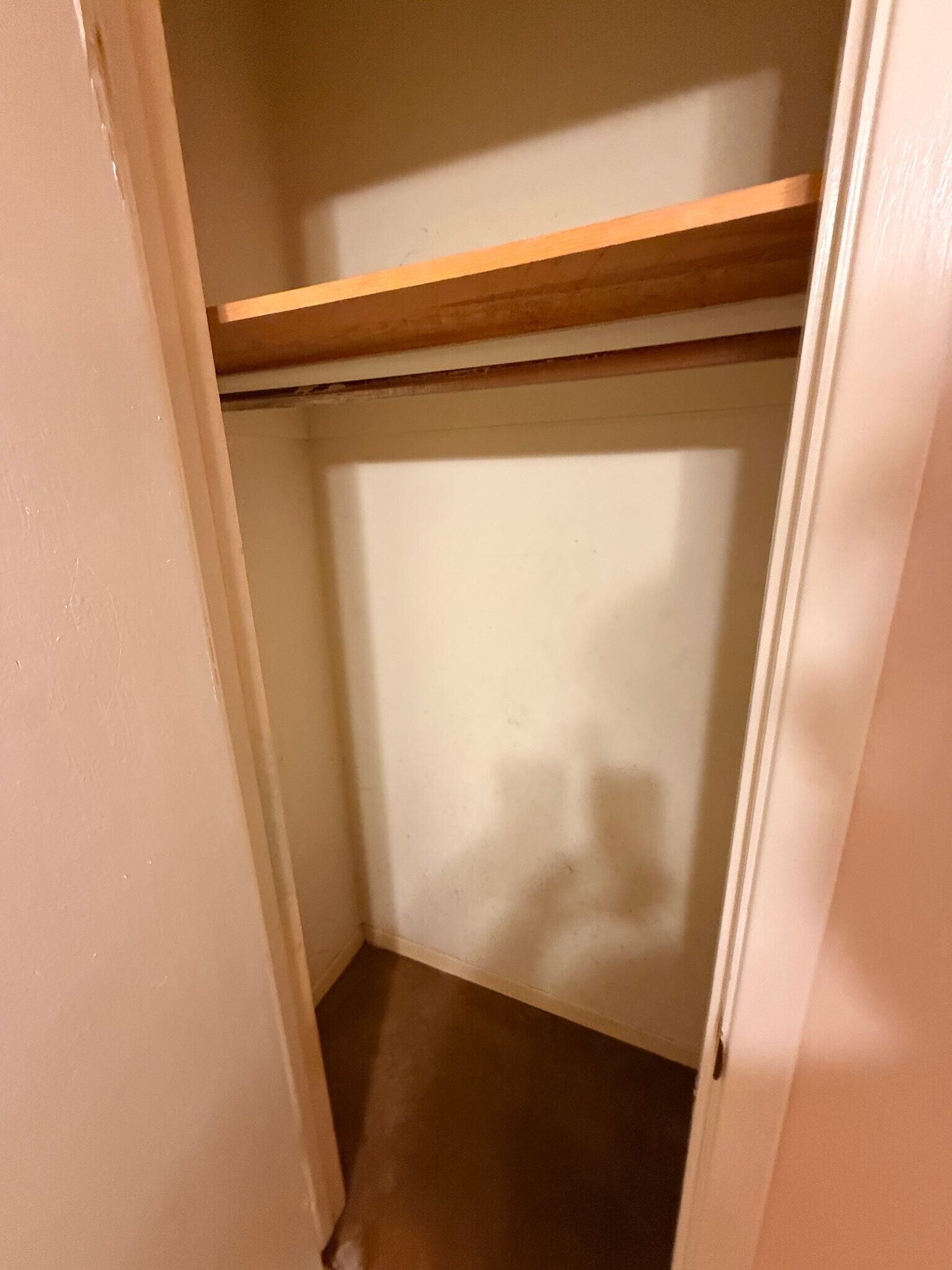 Building Photo - 508 E Euclid Ave