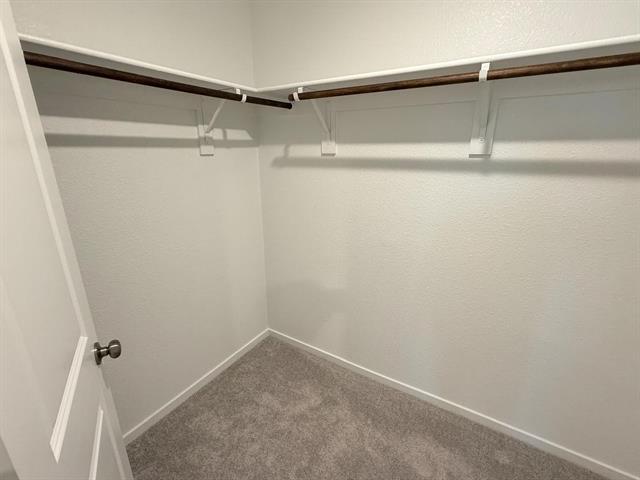 Building Photo - 440 Backcountry Dr