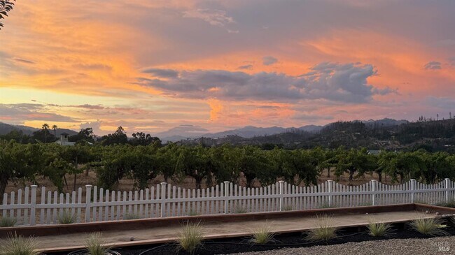 Building Photo - 1395 Grove Ct