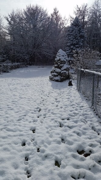 Building Photo - 1721 Blossom Rd