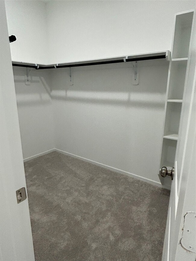 Building Photo - 26419 Virginia Wild Rye Ln