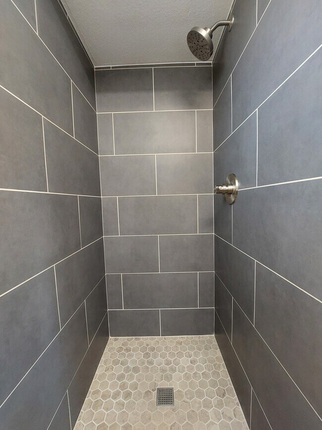 Master Bath - all new Fixtures and Tiles - 1233 W Manhatton Dr