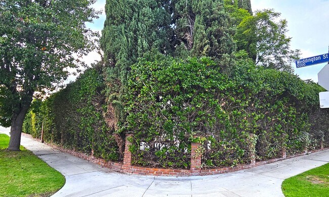 Building Photo - Stunning 3 Bedrooms, 2 Baths Valley Village home with detached, private Recording Studio