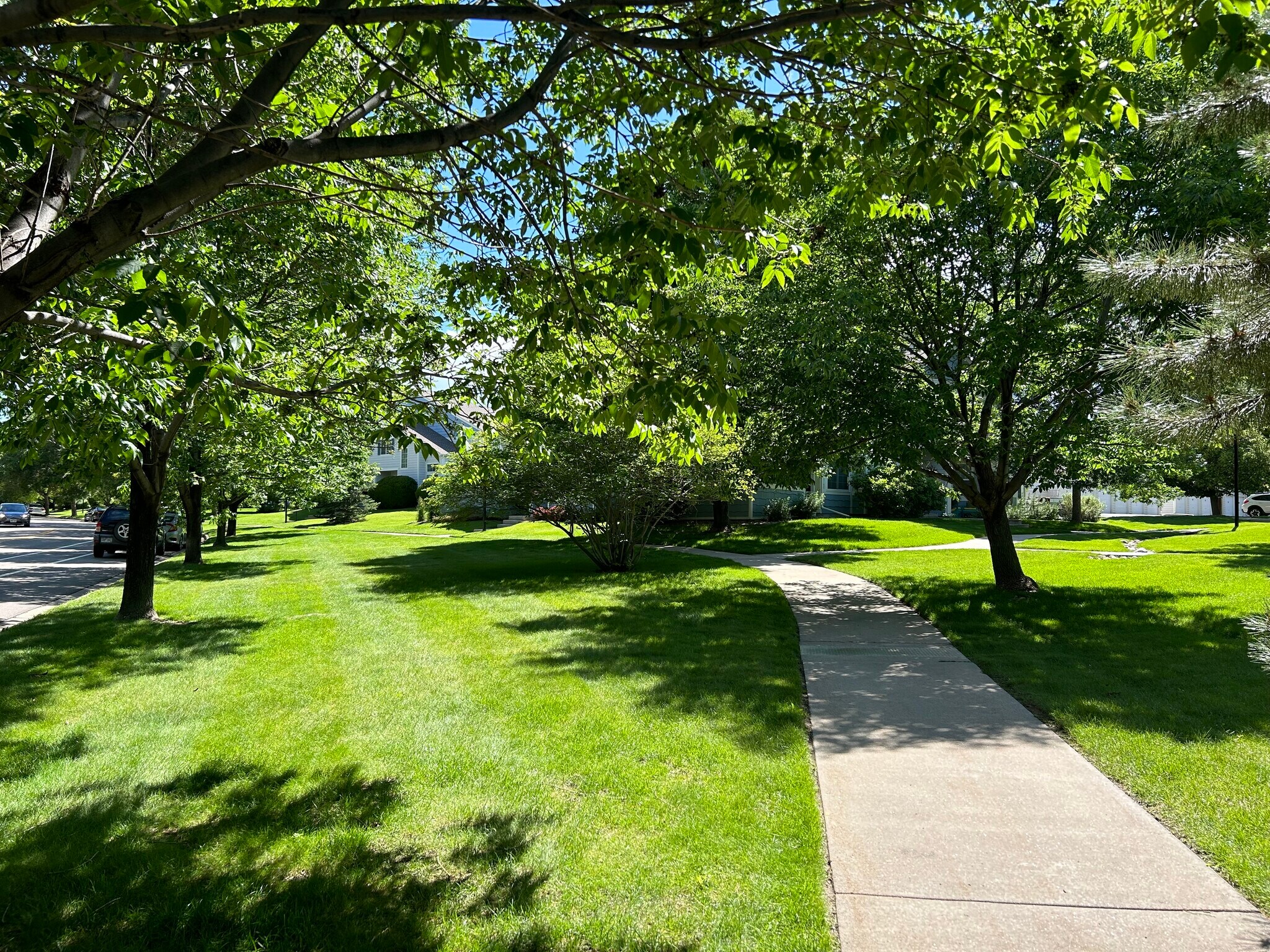 Common Area - 1419 Red Mountain Dr