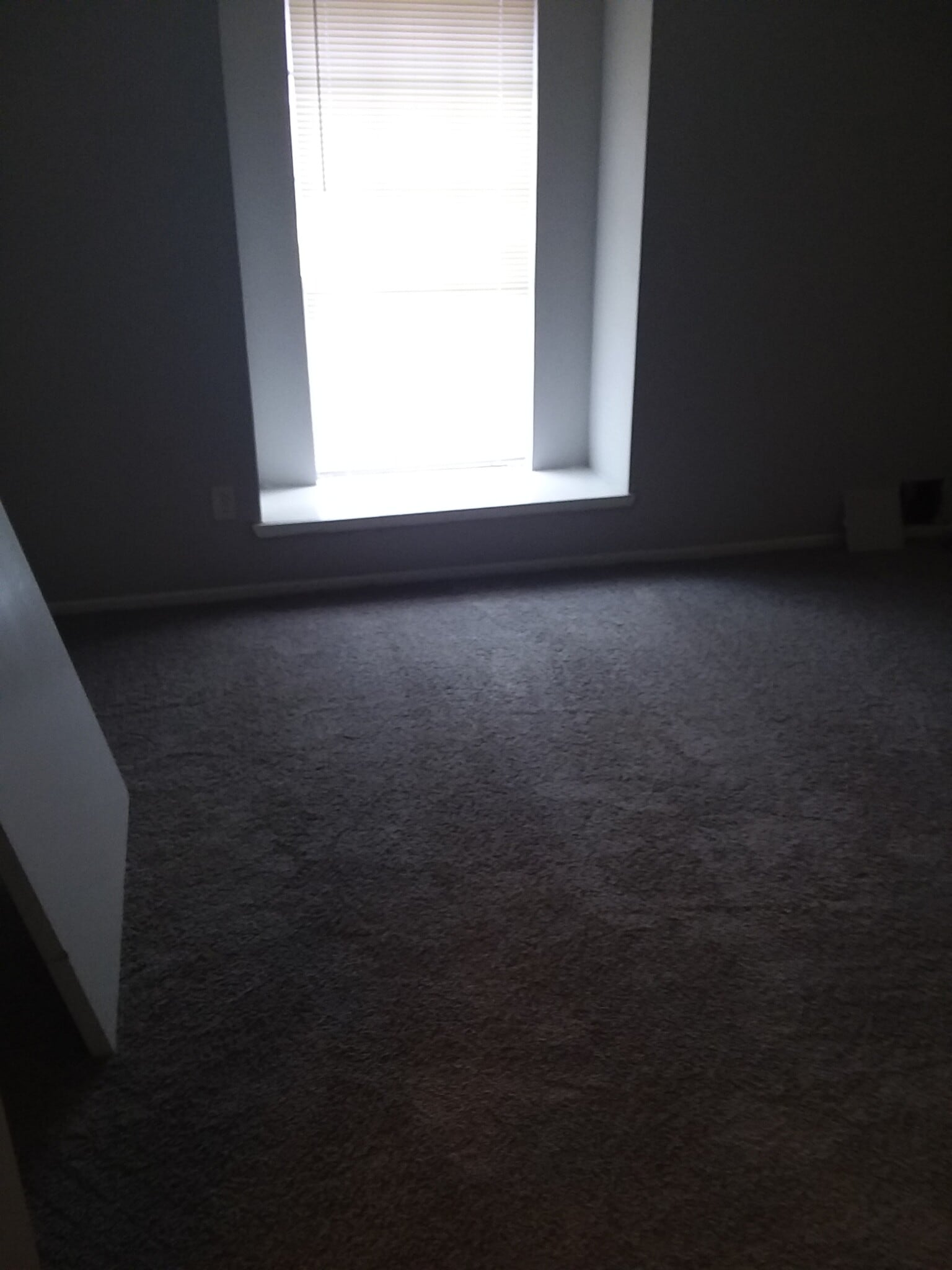 Building Photo - 6909 Chasewood Dr