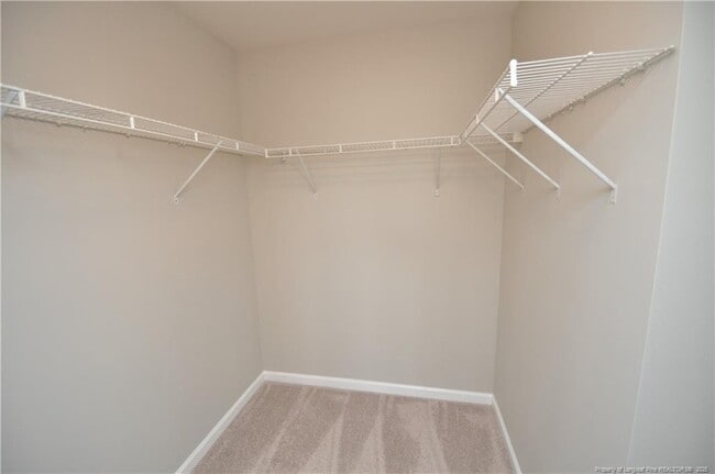 Building Photo - 8600 Neuse Landing Ln