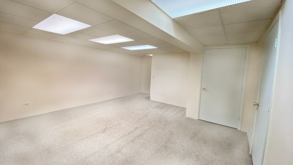 Basement_view1 - 353 Ashwood Ct