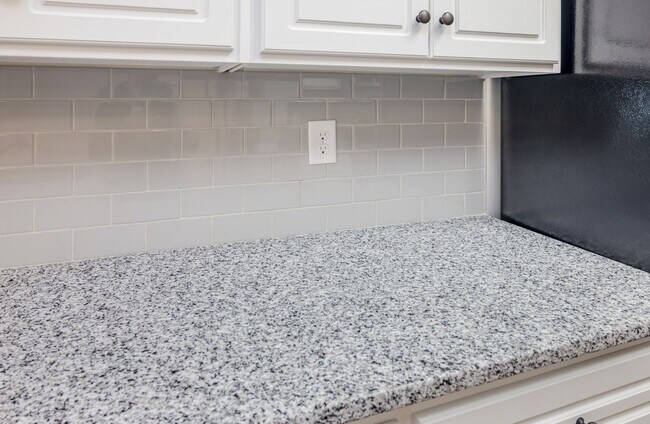 Building Photo - 1043 Wildfire Cir