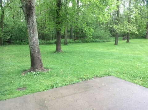 backyard - 102 River St