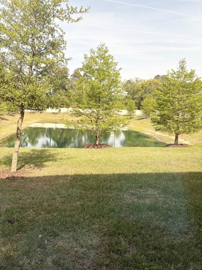 Building Photo - 5983 Ortega Lk Dr