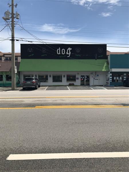 Building Photo - 1436 NE 2nd Ave