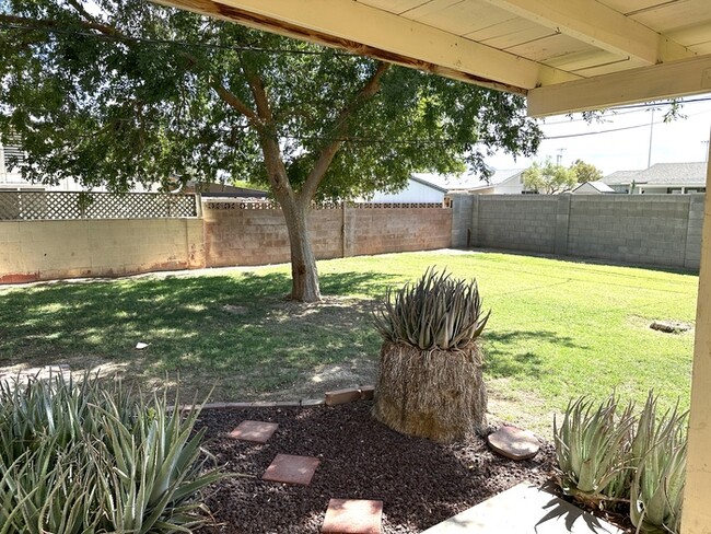 Building Photo - Great classic central Phoenix ranch style ...