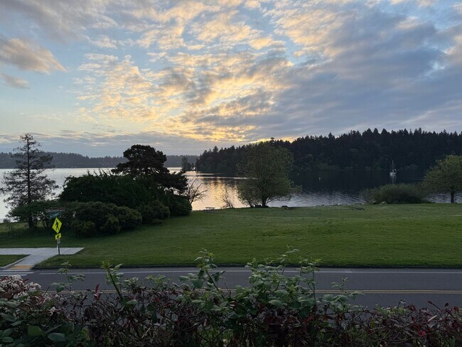 Building Photo - Lake Front House Seward Park