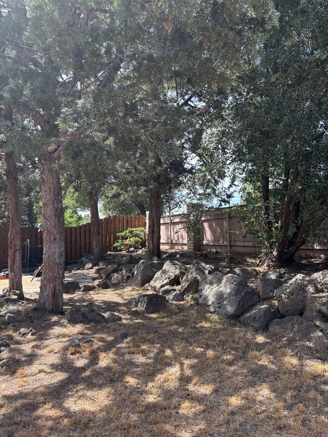 Building Photo - 3 BR/2BA Home In Tamarack Park East