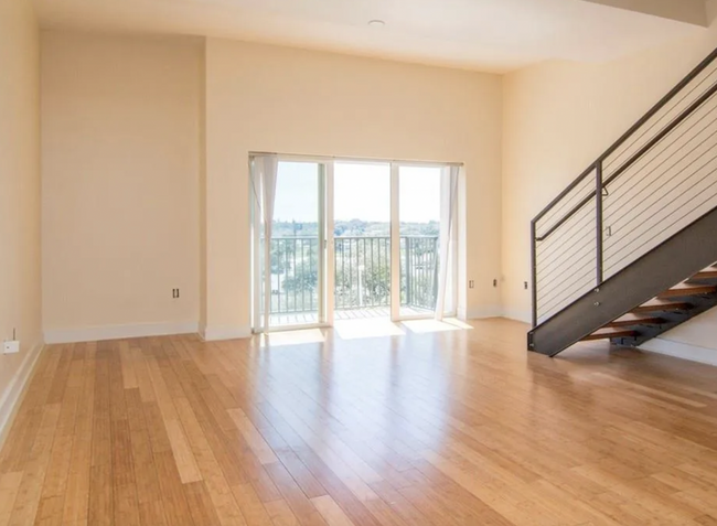 Bright Living Room - 1010 Central Ave