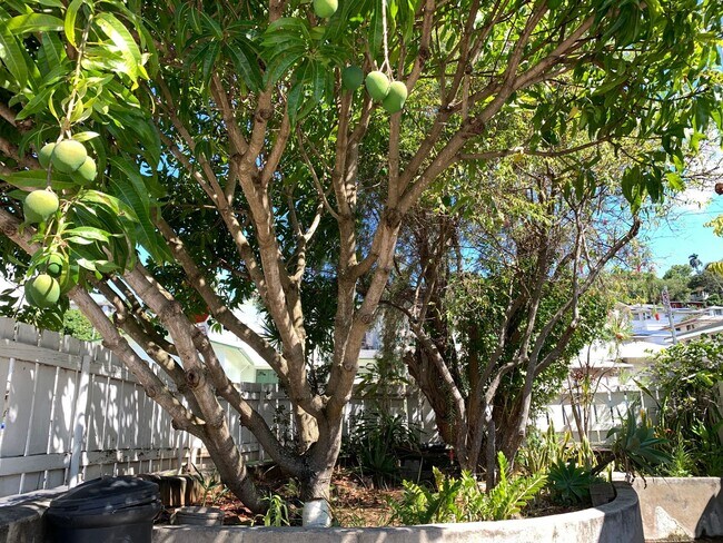 Building Photo - Liliha: 2 Bed, 1 Bath + Den Duplex w/ 1 Parking Spot - Includes Utilities!