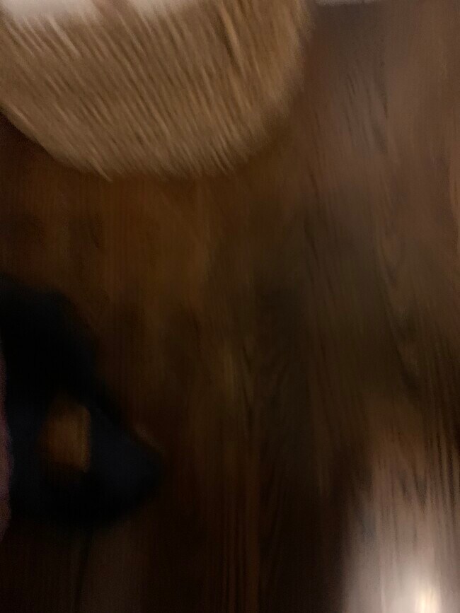 Building Photo - 7372 Hazelcrest Dr