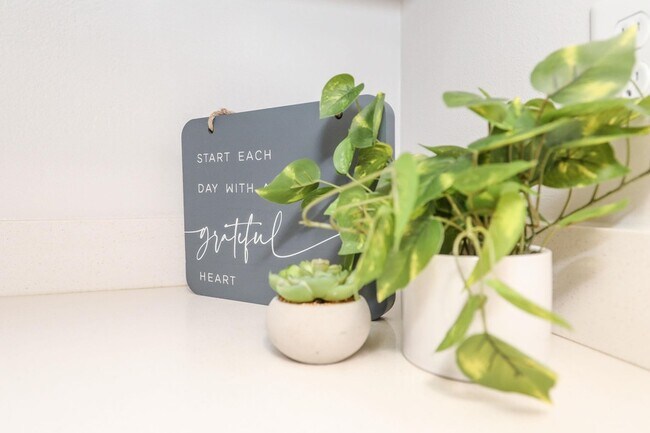 Building Photo - 1511 Don Camilo Blvd