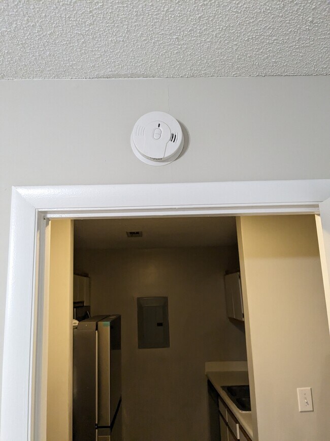 Building Photo - 1241 University Ct