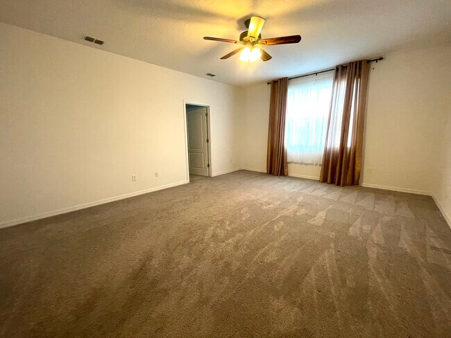 Building Photo - 1872 Ibis Bay Ct